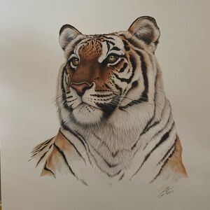 Tiger Art Print